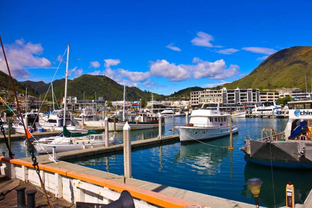 Picton Accommodation Gateway Motel Esterno foto